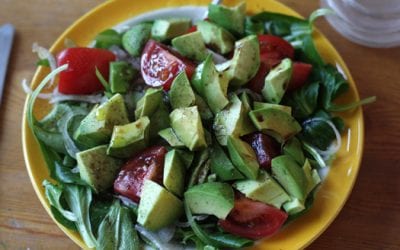 Avocado Salad