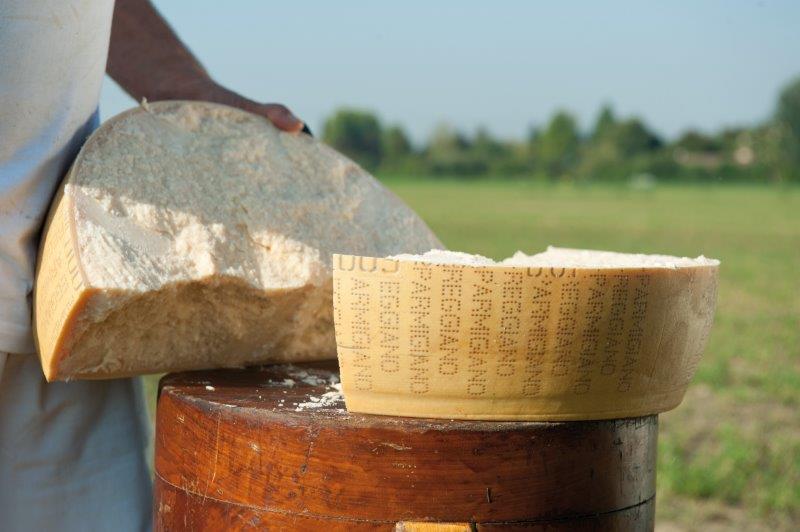 Parmigiano Reggiano DOP: Guide to the Italian Cheese