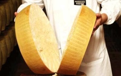 How to cut Parmesan