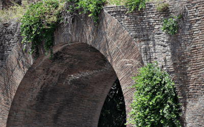 Capers on the ancient Roman Aurelian walls