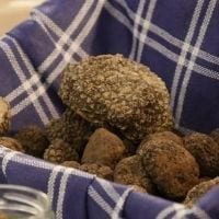 International Alba Truffle Fair