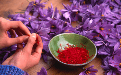 Why Saffron is Expesive ?