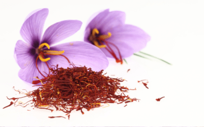 Dosage of Saffron