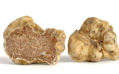 White Truffle