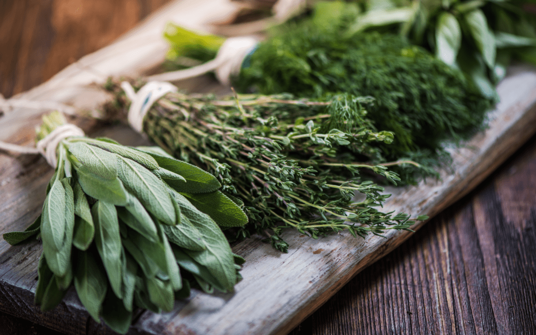 Aromatic Herbs Benefits
